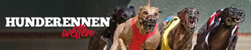 Hunderennen Wetten
